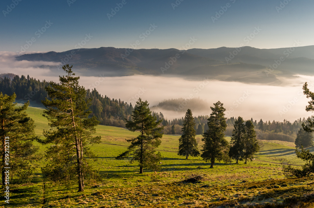 Morning panorama of Pieniny and Beskidy mountains, Poland landscape - obrazy, fototapety, plakaty 
