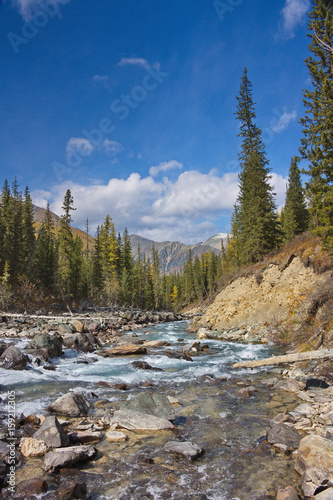 the mountain river in the fall in Altai