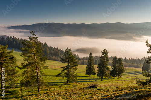 Fototapeta Naklejka Na Ścianę i Meble -  Morning panorama of Pieniny and Beskidy mountains, Poland landscape