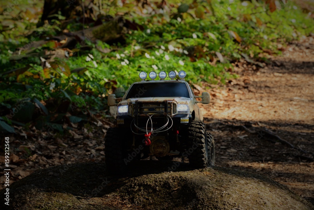 Fototapeta premium Scaletruck