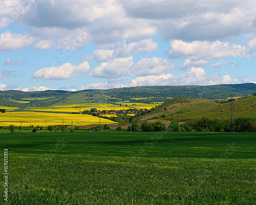 The green wheat field on the background of yellow rapeseed fields  the beautiful view on a valley among the Balkan mountains in spring.