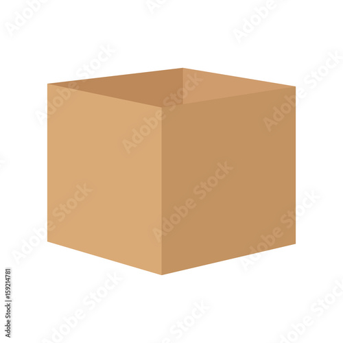 Vector Carton box.