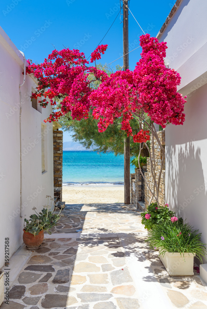 Naklejka premium Typowa grecka wąska ulica z lato kwiatami i widokiem nad morzem. Wyspa Naxos. Cyklady. Grecja.