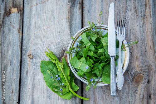 Various, fresh wild herbs / fresh wild herbs / herbs photo