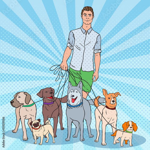 Fototapeta Naklejka Na Ścianę i Meble -  Pop Art Dog Walker. Young Man Walking with many Dogs. Vector illustration