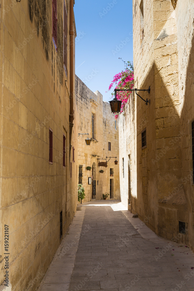 Obraz premium The Silent City of Mdina on Malta