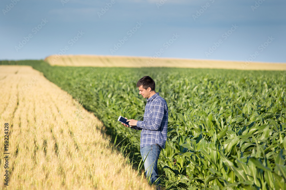 Farmer with tablet in field