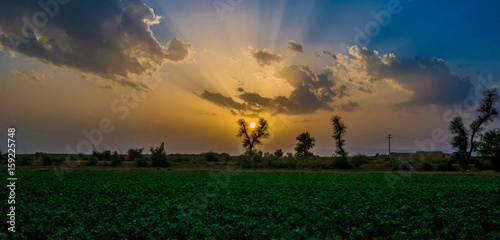 beautiful sunrays through cloud and green field