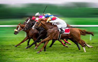 Race horses with jockeys on the home straight