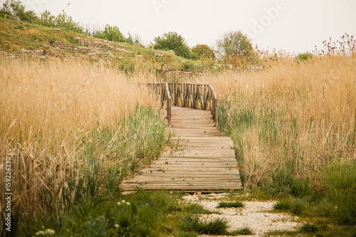 A wooden path with dried grass on the side