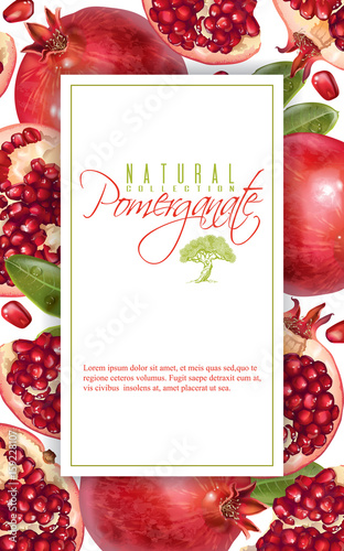 Pomegranate vertical banner