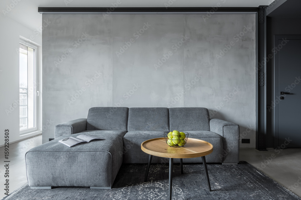 Living room with gray sofa - obrazy, fototapety, plakaty 