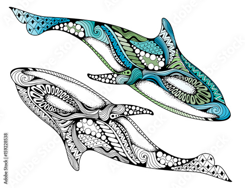 Ethnic animal doodle detail pattern - killer whale zentangle illustration. Hand drawn Orcinus orca isolated on white background for adult anti-stress coloring book pages