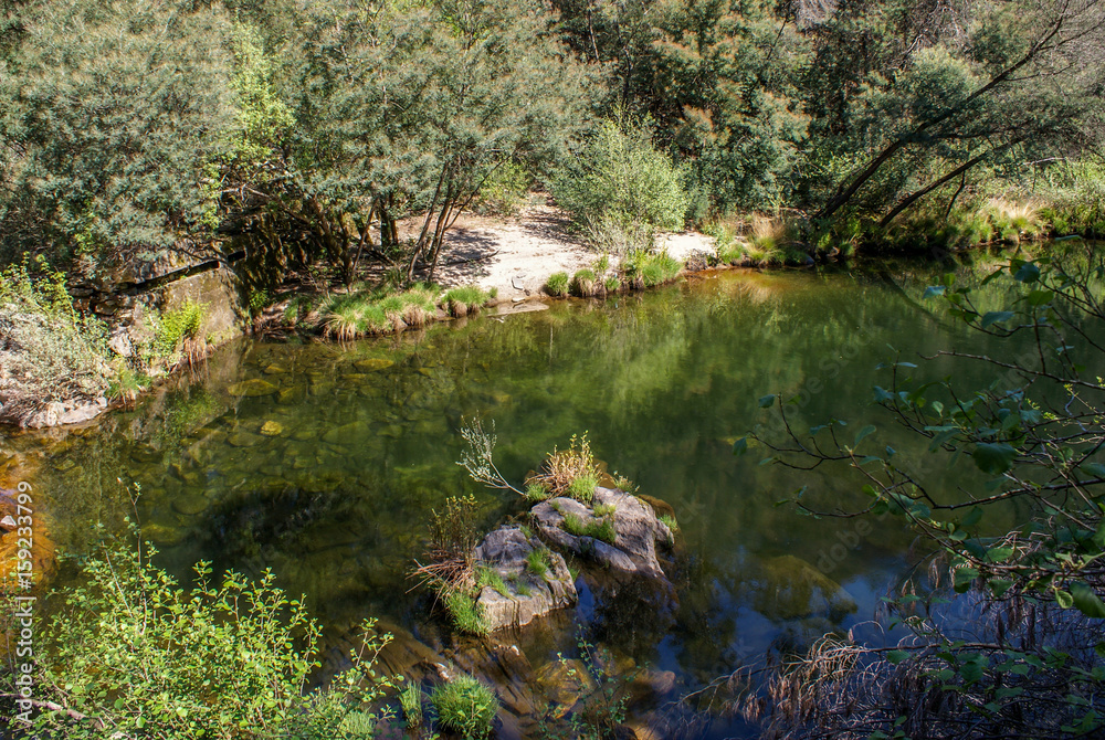 Fototapeta premium Lourizela, Águeda, Portugal