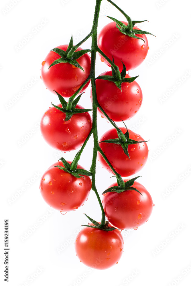 tomatoes