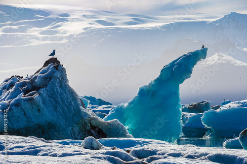 Obraz na plátně Seagulls above floating icebergs in Glacial Lagoon Jokullsarlon, South Iceland