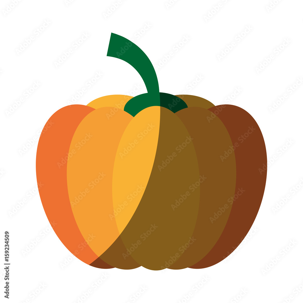 tomato food flat illustration icon vector design graphic shadow tomato food flat illustration icon vector design graphic shadow