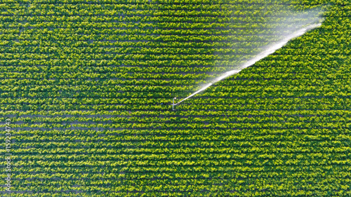 Irrigation fields photo