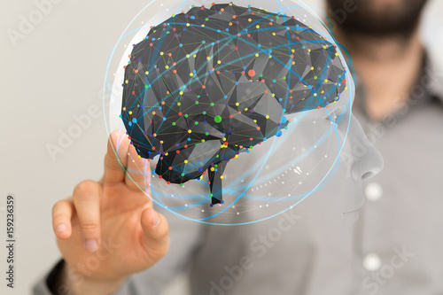 brain