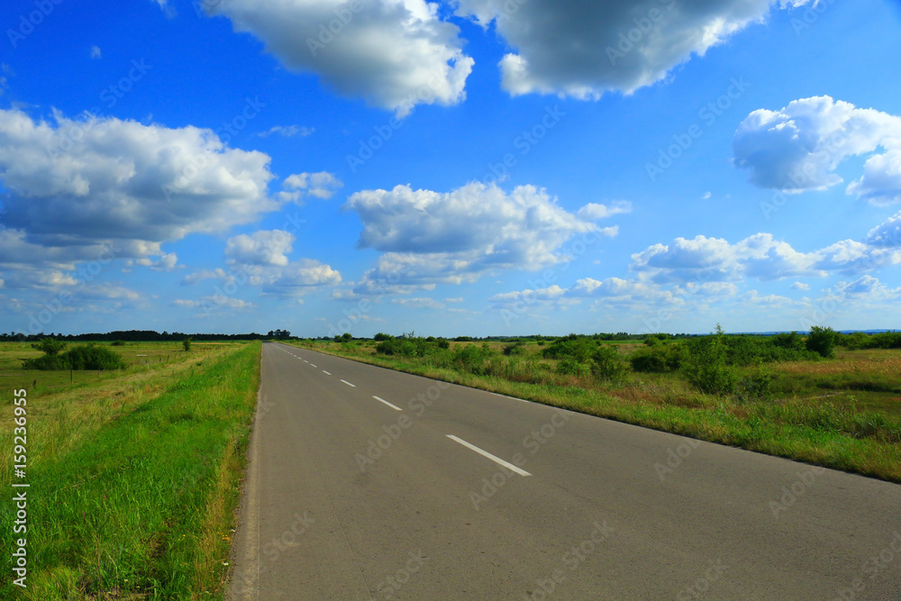 Rural road landscape