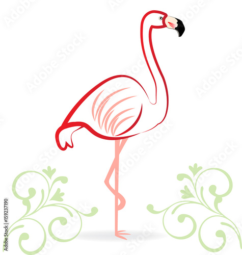 Flamingo floral logo vector