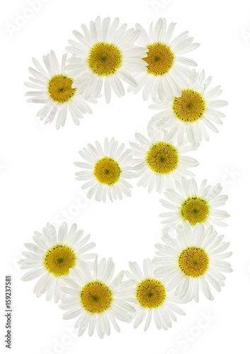 Fototapeta Naklejka Na Ścianę i Meble -  Arabic numeral 3, three, from white flowers of chamomile, isolated on white background