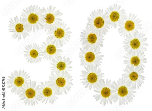 Arabic numeral 30, thirty, from white flowers of chamomile, isolated on white background