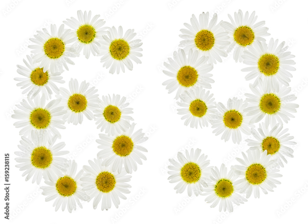 Arabic numeral 69, sixty nine, from white flowers of chamomile, isolated on white background Arabic numeral 69, sixty nine, from white flowers of chamomile, isolated on white background