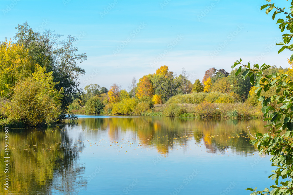 Shore of the river Shore of the river