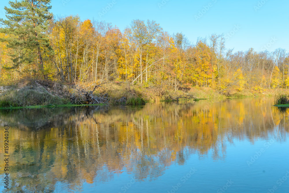 Forest river