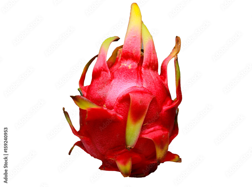 dragon fruit isolated white, fresh fruit concept dragon fruit isolated white, fresh fruit concept