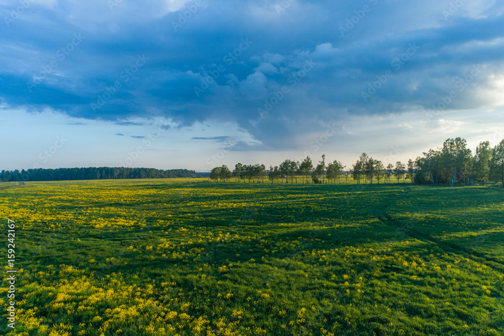 Aerial view at sunset on a field with long shadows from trees 