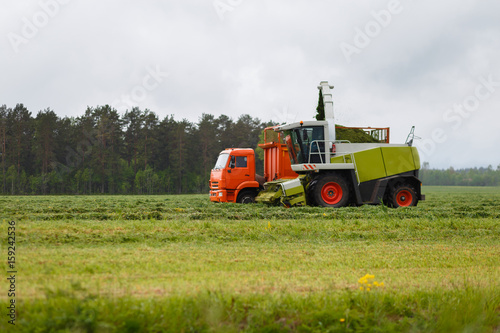 Harvester collects dry grass to the truck in a field full of green grass. Truck collects grass clippings  which cuts the tractor driving by on the green field in the summer. Agricultural view