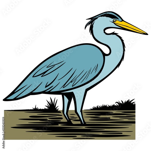 Heron
