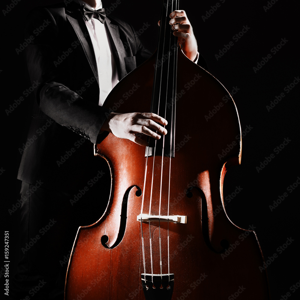 Plakat Podwójny basista grający kontrabas