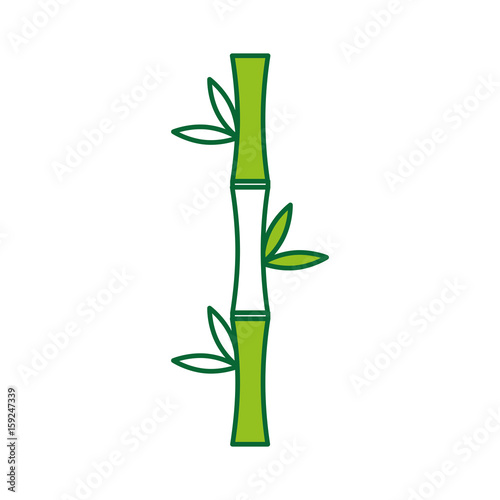 bamboo stem natural icon vector illustration design