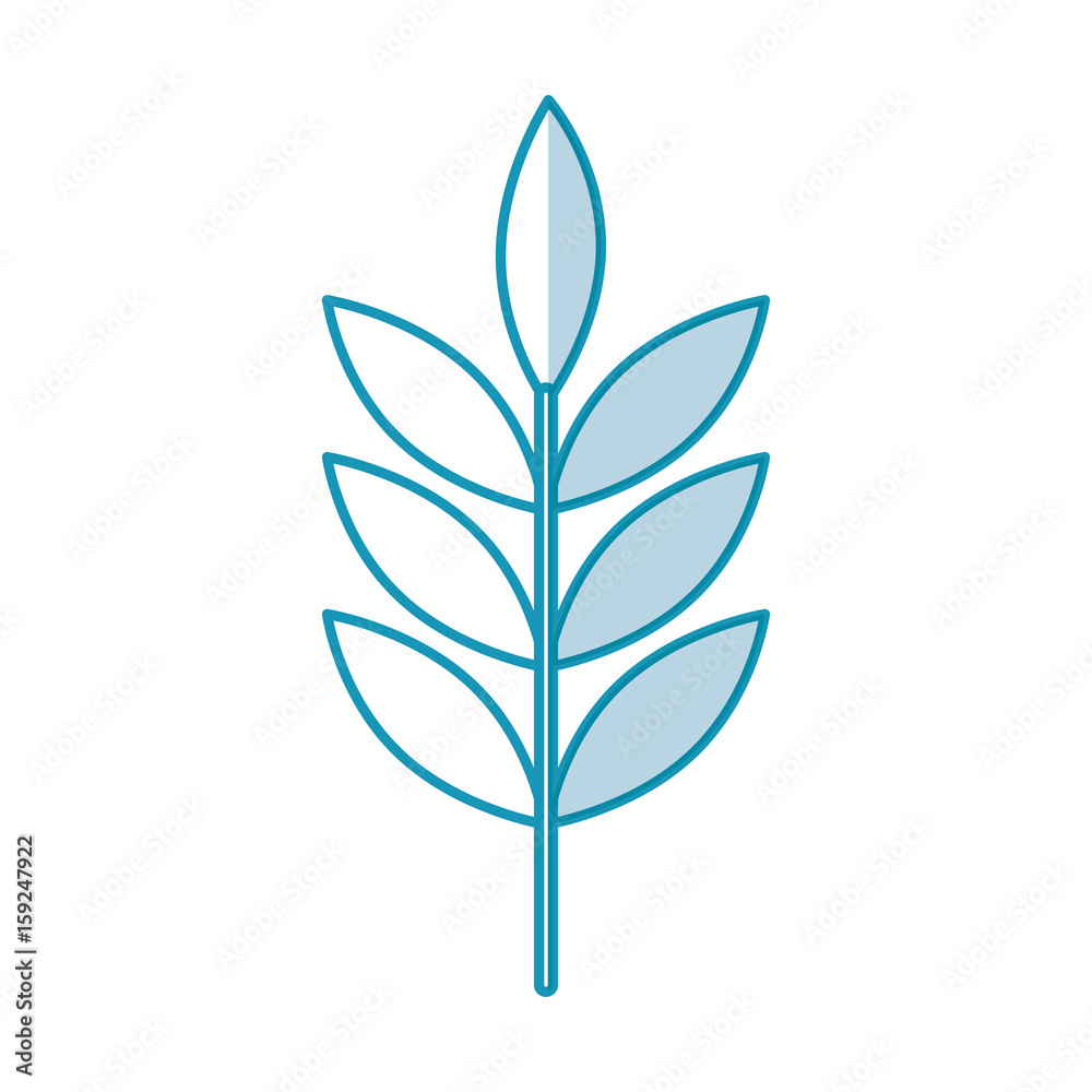 leafs plant wreath icon vector illustration design leafs plant wreath icon vector illustration design