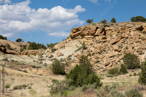 Sandstone landscape in Farmington  NM