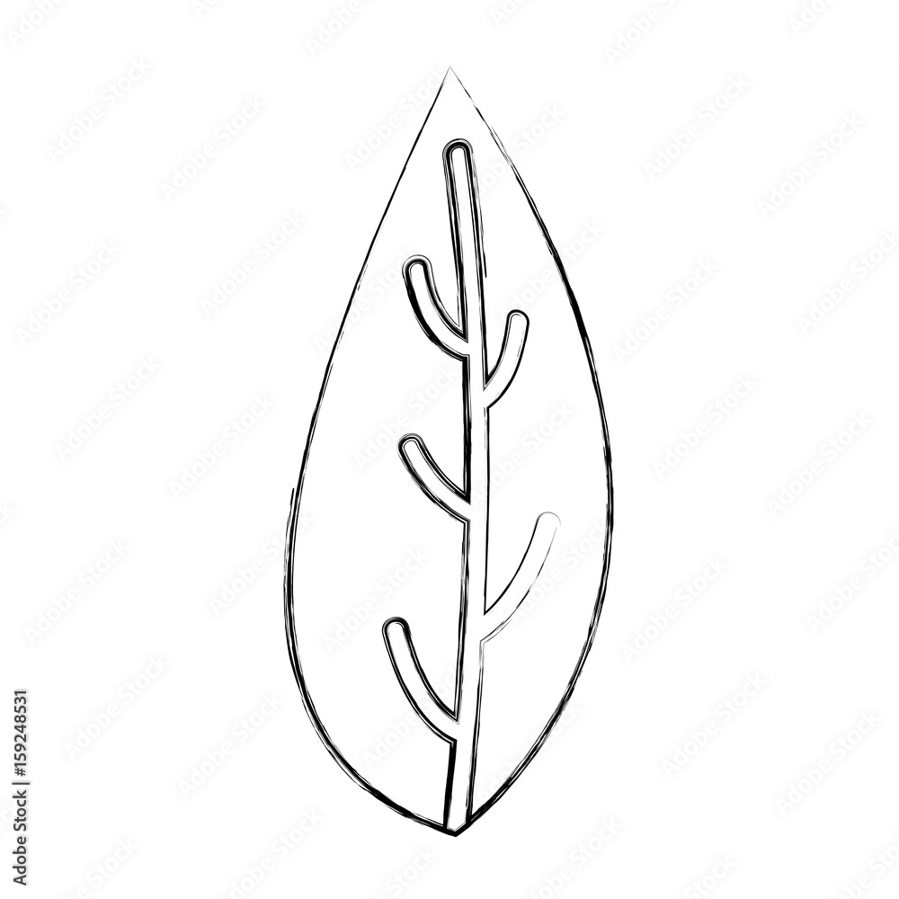leaf plant isolated icon vector illustration design leaf plant isolated icon vector illustration design