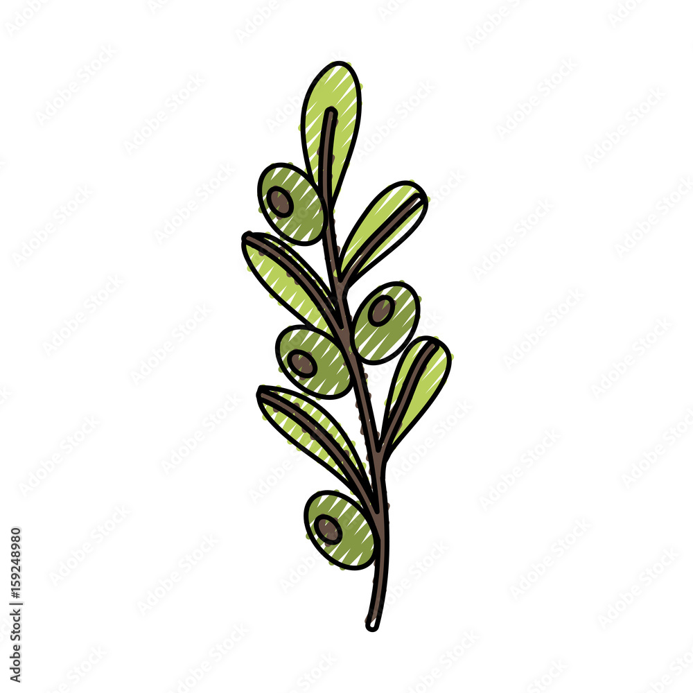 leafs plant wreath icon vector illustration design leafs plant wreath icon vector illustration design