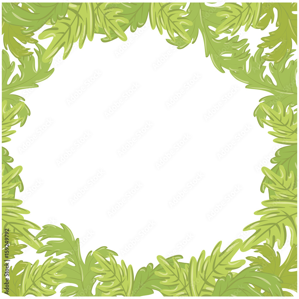 frame of leaves icon over white background colorful design vector illustration frame of leaves icon over white background colorful design vector illustration
