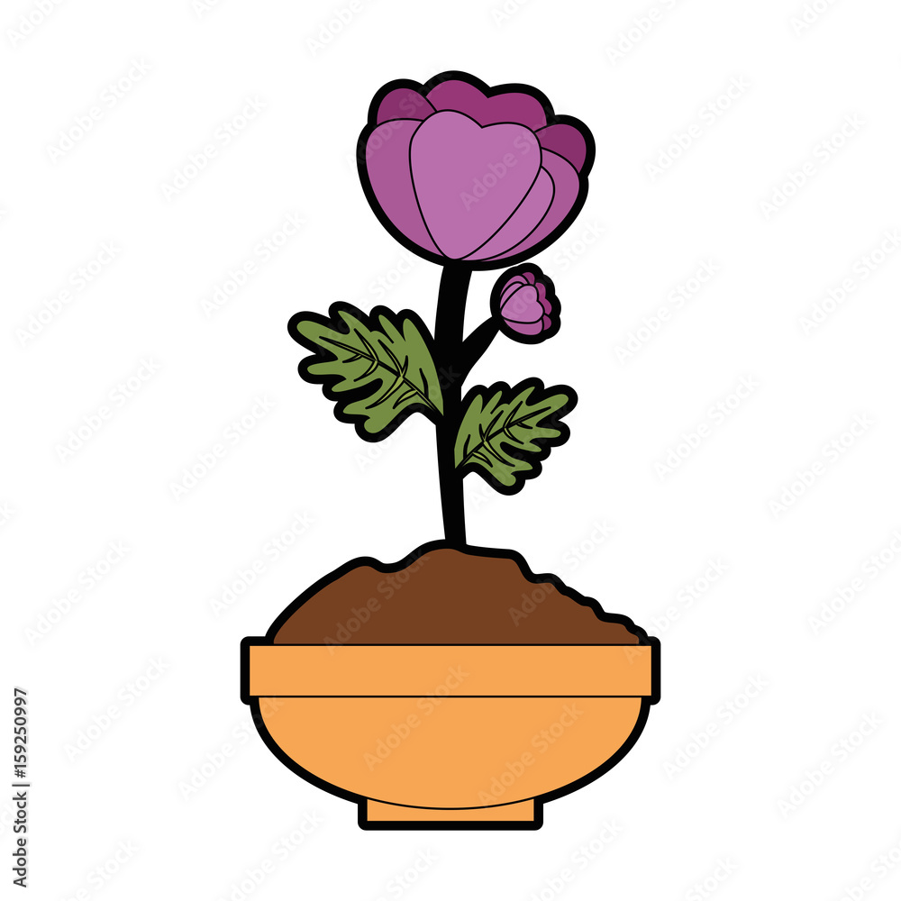beautiful flowers in a pot icon over white background colorful design vector illustration beautiful flowers in a pot icon over white background colorful design vector illustration