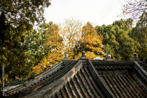 Roof of a Chinese temple in autumn
