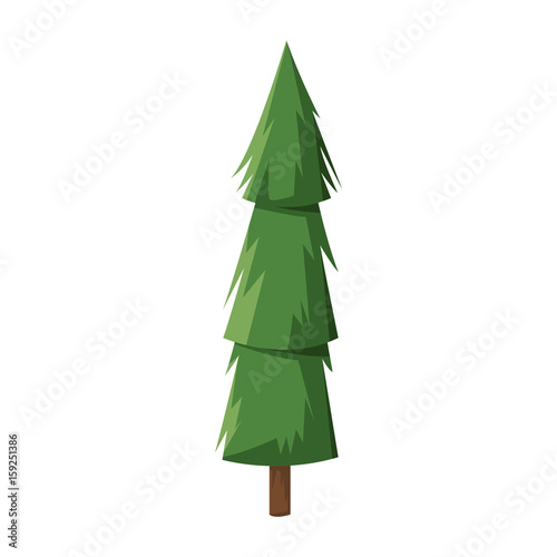 cartoon pine tree trunk nature icon vector illustration