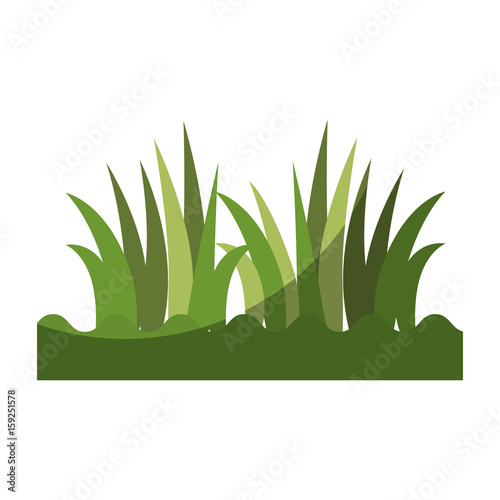 grass icon over white background colorful design vector illustrtion
