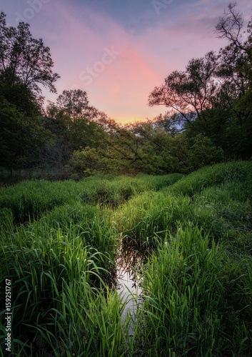 Photography Toronto, Humber Marsh Park