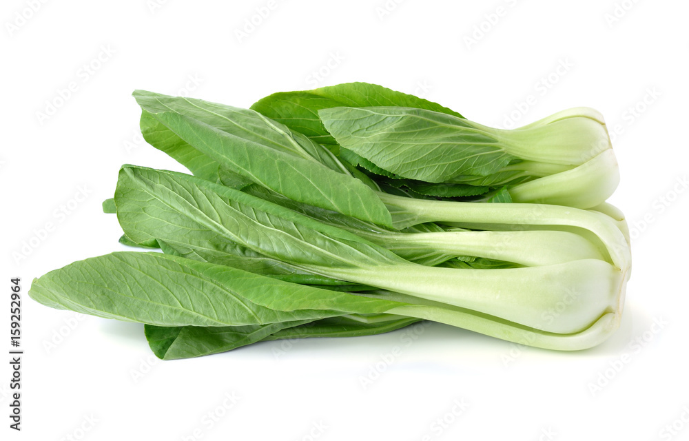 Bok choy (chinese cabbage) isolated on white background Bok choy (chinese cabbage) isolated on white background