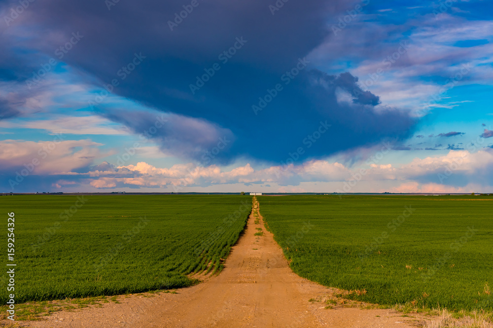 Obraz premium Prairie Landscapes