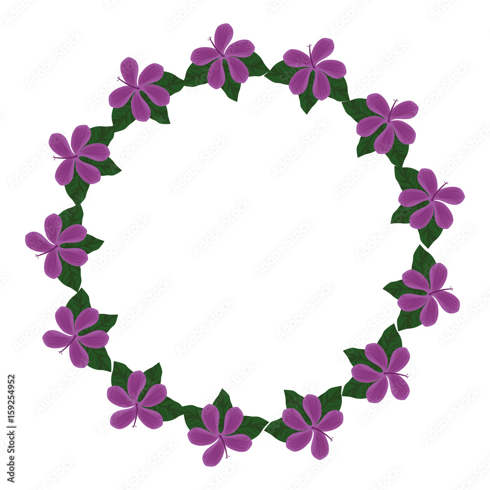 decorative frame with beautiful flowers colorful design vector illustration