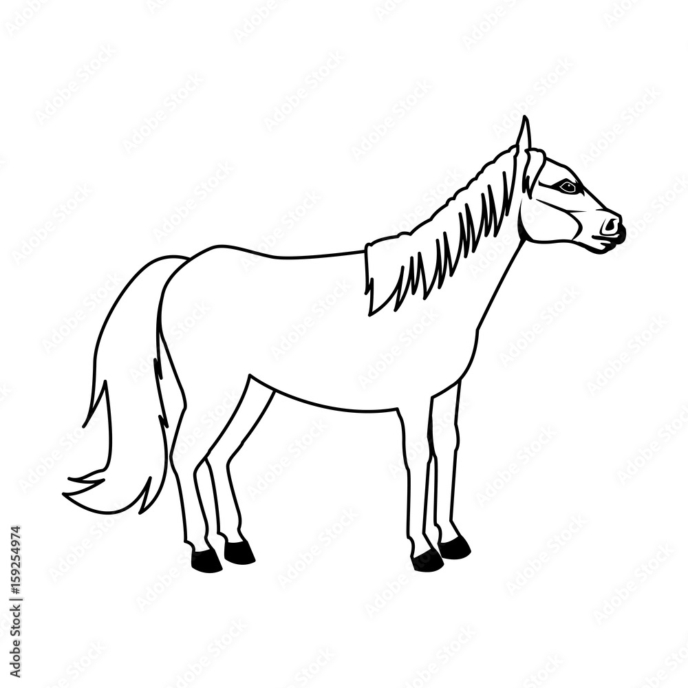 horse animal mammal nature equine icon vector illustration